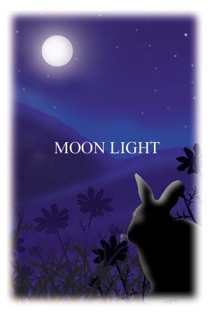 moonlight