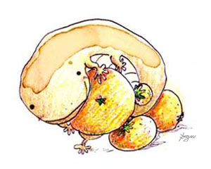 񂵂傤Na