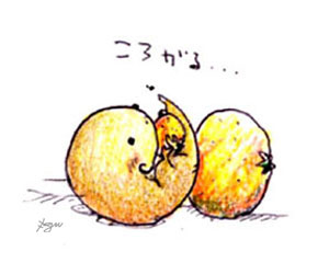 񂵂傤N