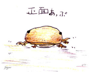 񂵂傤N