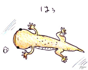 񂵂傤N