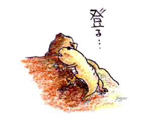 񂵂傤N