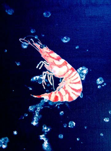 Acrylic Painting-shrimp