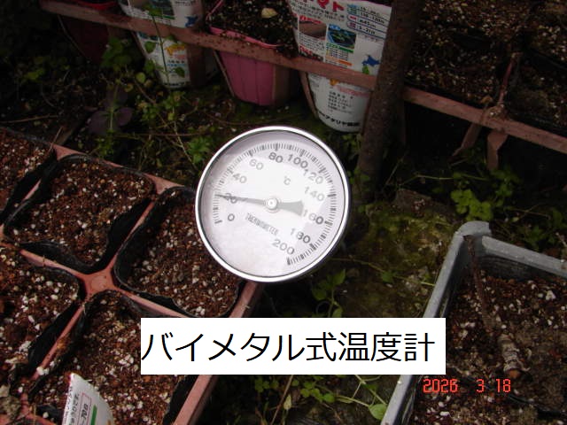 温度計を温床に