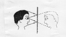 鏡の横幅の図