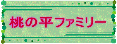 ̕t@~[