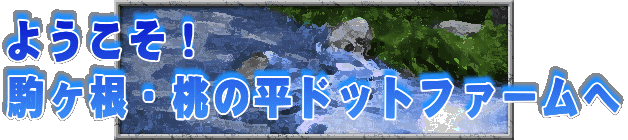 悤I
E̕hbgt@[