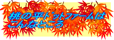 ̕ޯ̧т
ȂƂ