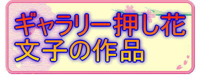 ギャラリー押し花