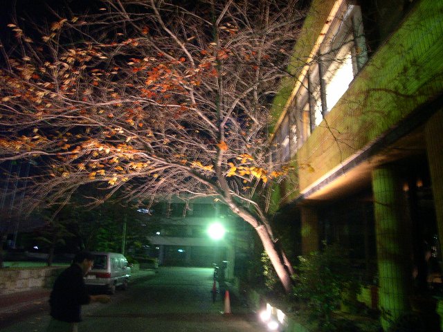 DSCN5120.JPG