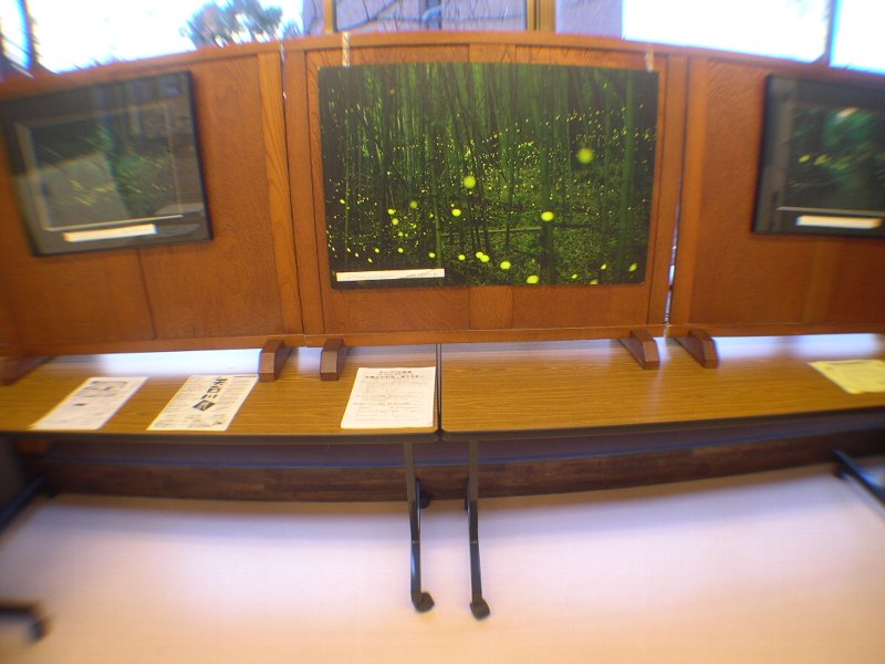 DSCN5160.JPG