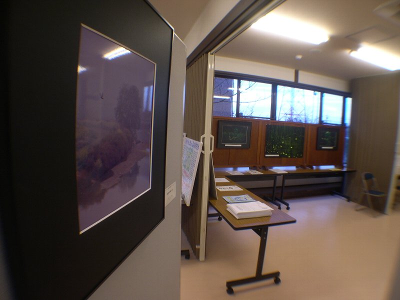 DSCN5168.JPG