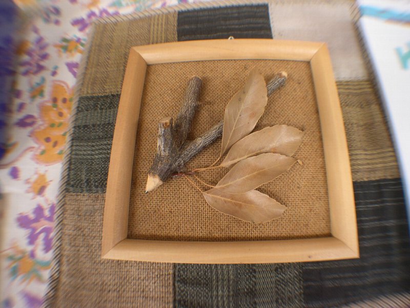 DSCN5170.JPG
