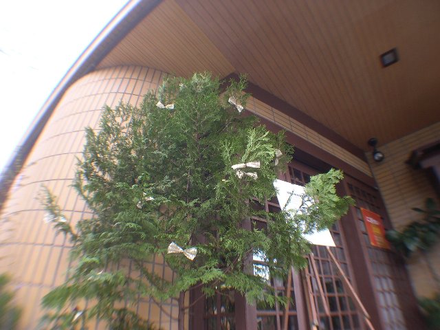 DSCN5227.jpg