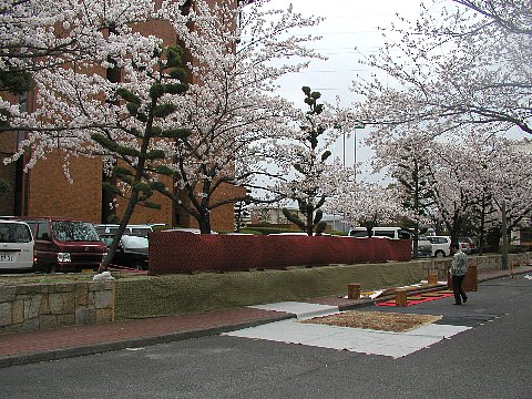 P1010096.JPG