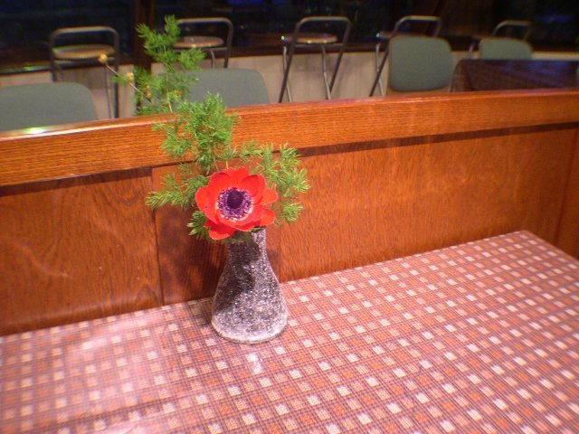 DSCN5263.JPG