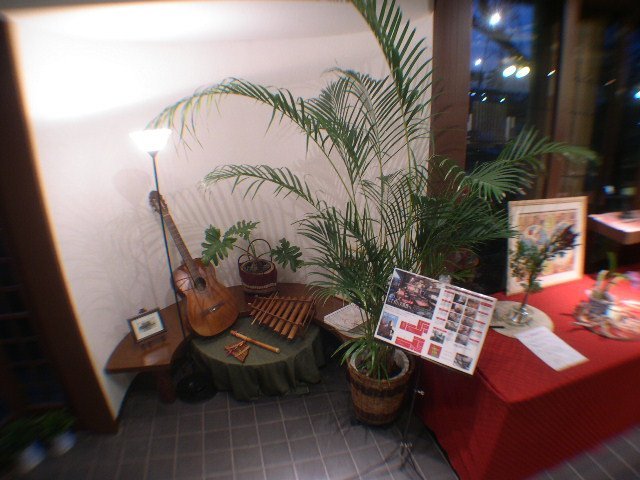 DSCN5274.JPG