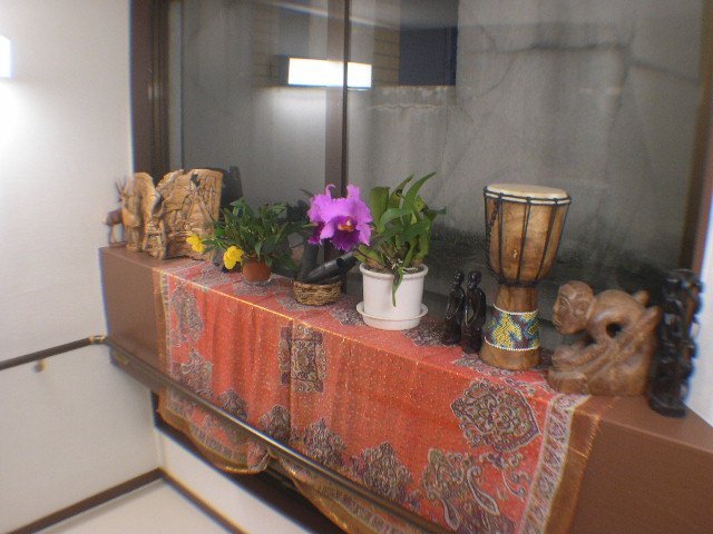 DSCN5279.JPG