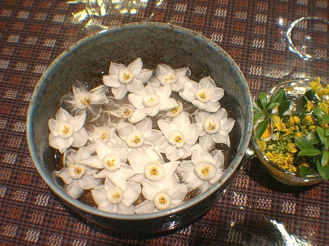DSCN6273.JPG
