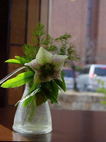 nk_makara0111.JPG