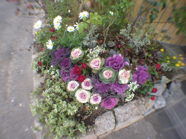 DSCN5228.JPG