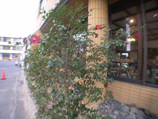 DSCN5248.JPG