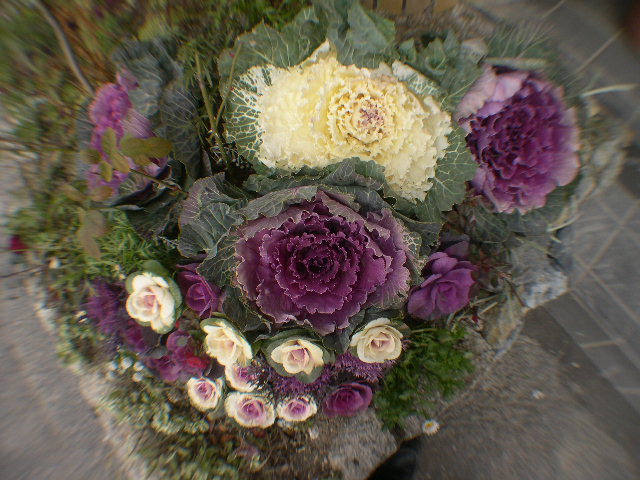 DSCN5249.JPG