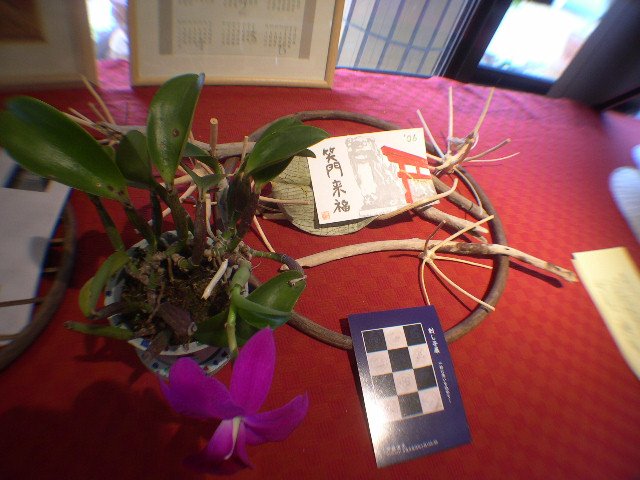 DSCN5251.JPG