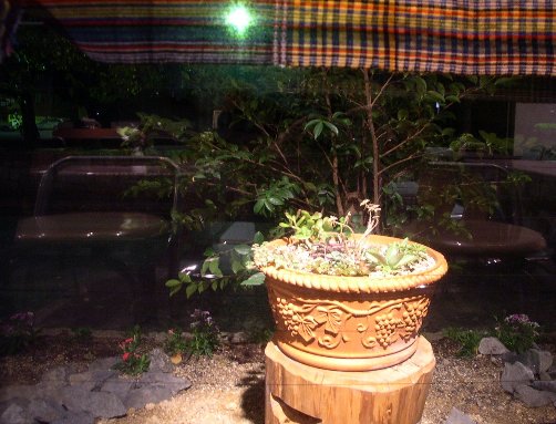 DSCN4974.jpg