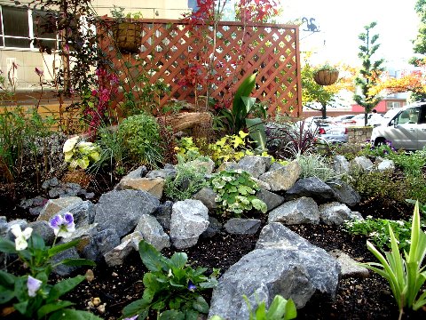 DSCN5003.jpg