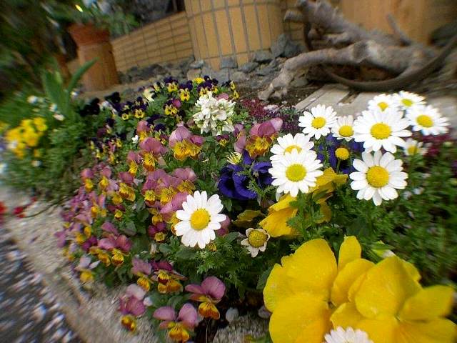 DSCN6312.JPG