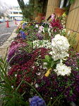 DSCN6318_thumb.png