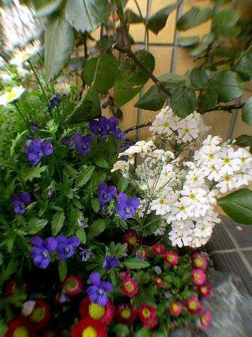 DSCN6320.JPG