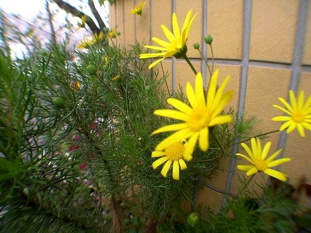 DSCN6321.JPG