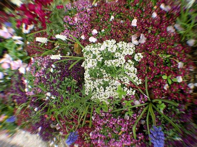DSCN6325.JPG