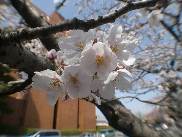 DSCN5899.JPG