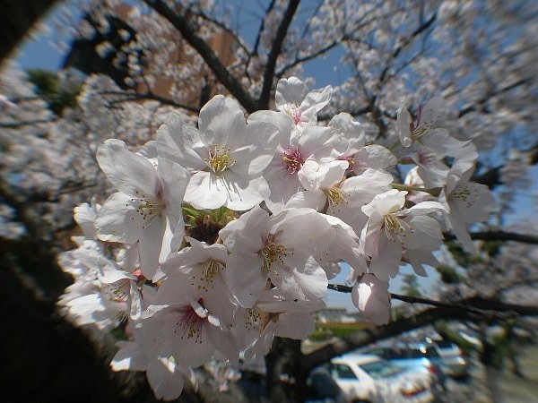 DSCN5999.JPG