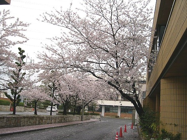 DSCN6297.JPG