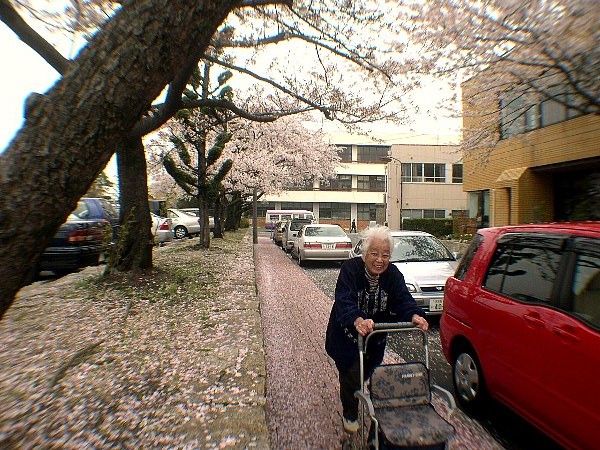 DSCN6310.JPG