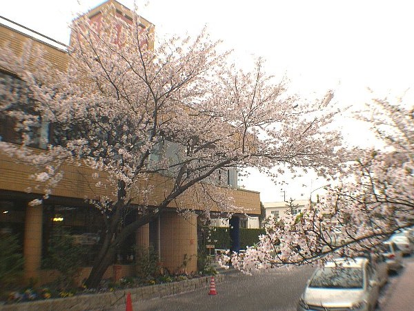 DSCN6336.JPG