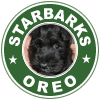 STAR BARKS