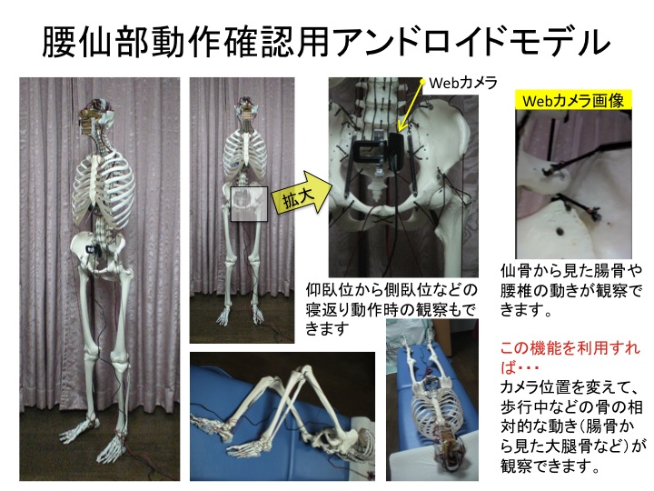 腰仙部動作確認用